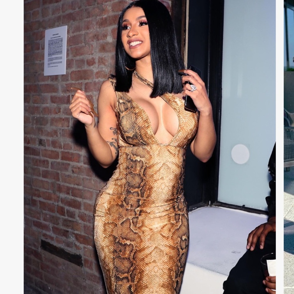 Snake Print Midi Dress